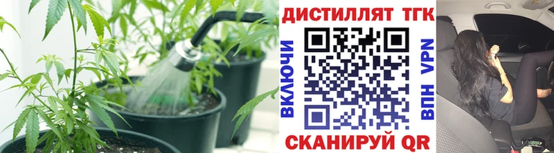 ТГК Wax  Купить где  Подольск 